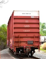 AOK 401198